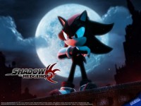 /album/photogallery/shadow-the-hedgehog-shadow-the-hedgehog-10006105-500-375-jpg/